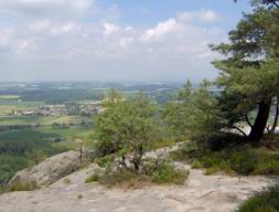 Resize of Talpa 081.jpg